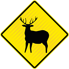 PW37.3 (WF13) Deer