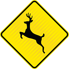 PW37.3 (WF13) Deer