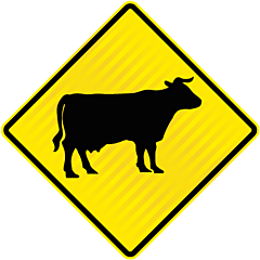 PW37 (WF11) Cattle