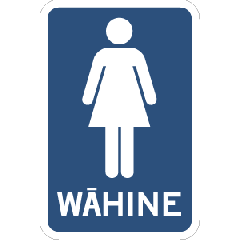 Toilet Wahine 100x150 Digital on PVC