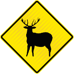 PW37.3 (WF13) Deer