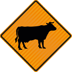 (TF1A) Stock Temporary Cattle - Level 1